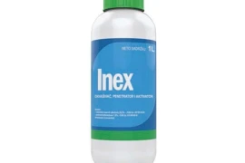 INEX 1/1