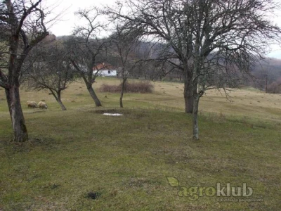 Prodajem seosko domacinstvo