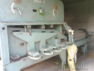 suncokret gricko