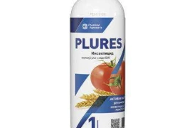PLURES 1/1