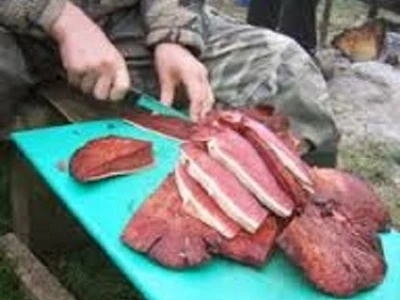 Prodajem micelijum seme pecurki gljiva cena 500 dinara, 064/4711000