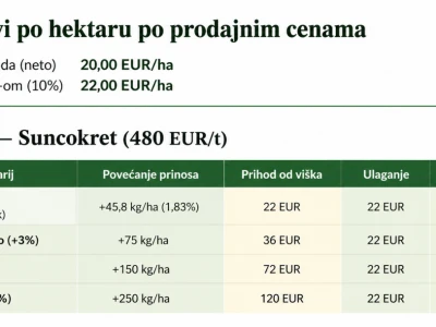 EliSun-a: Suncokret