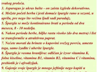 Špargla - lekovita biljka