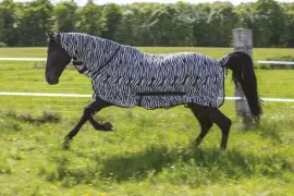 Ćebe protiv insekata Combo Riding World