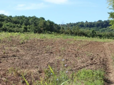 4,5ha zemlje u najboljem delu karlovaca