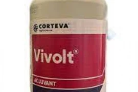 VIVOLT 1/1