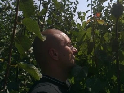 Rasadnik voćnih sadnica i loznih kalemova