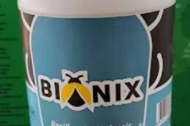 BIONIX 1/1
