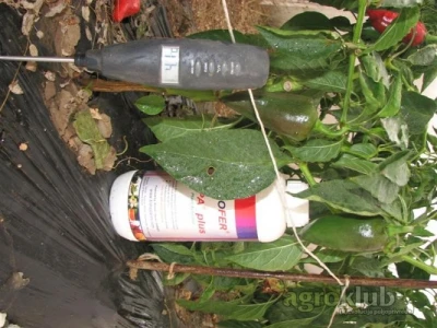 Natural Plant Antifreeze Thiofer