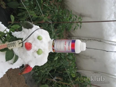 Natural Plant Antifreeze Thiofer