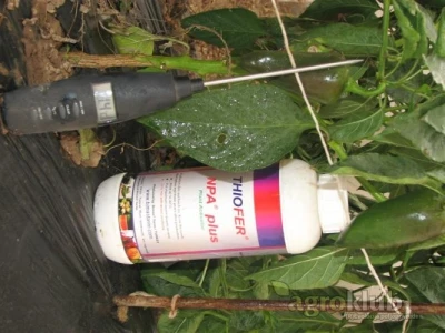 Natural Plant Antifreeze Thiofer
