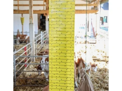 Papir lepljivi za leteće insekte 10m 40cm