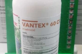 VANTEX 60 CS 1/1