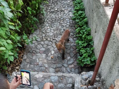 Ruralni turizam - vikendica na Ohridu