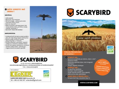 SCARYBIRD