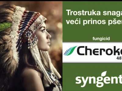 Cherokee 487,5 SE