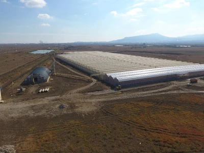 Visokotehnoloških industrijski Staklenici i Plastenici