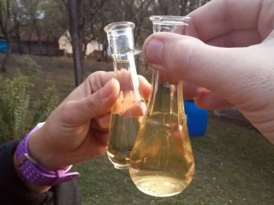 Domaća rakija