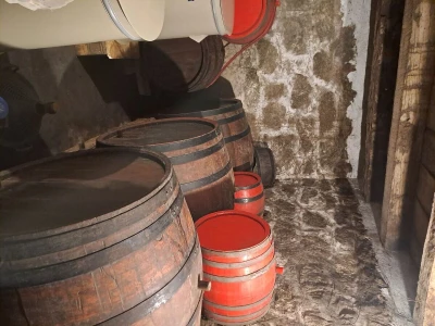 domaca sljivovica