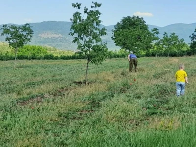 Domaće hladno ceđeno ulje od oraha,lešnika,susama,kikirikija,badema,tikve golice i suncokreta