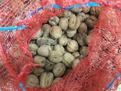 Domaći orasi