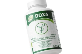 Doxa 1L