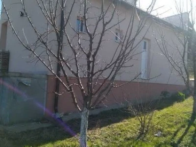 Dve kuće na jednom placu u banji Vrujci