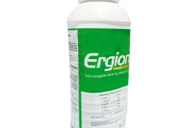 Ergion 1L
