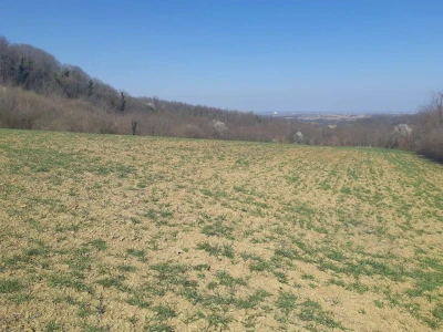 FRUŠKA GORA - VIZIĆ 2,14 ha