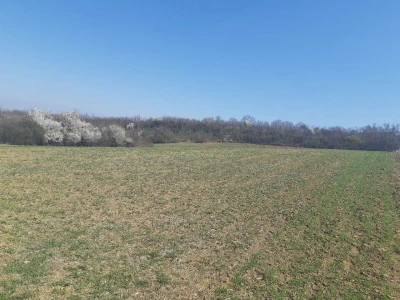 FRUŠKA GORA - VIZIĆ 2,14 ha