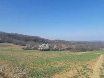 FRUŠKA GORA - VIZIĆ 2,14 ha