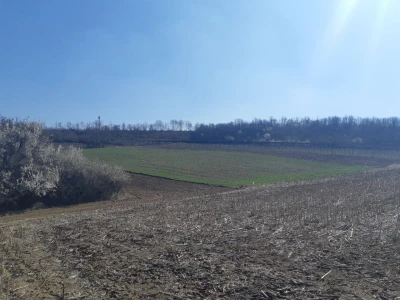 FRUŠKA GORA - VIZIĆ 2,14 ha