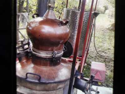 Domaca sljivovica