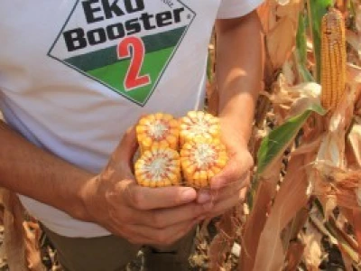 EkoBooster 2®