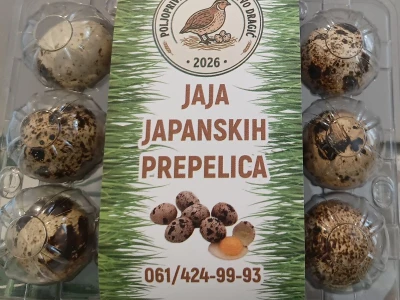 Jaja japanske prepelice