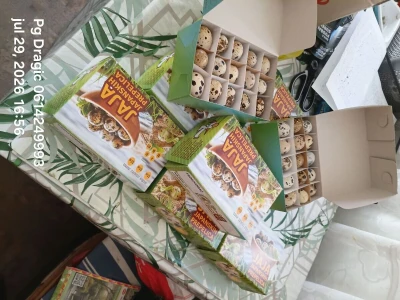 Jaja japanske prepelice