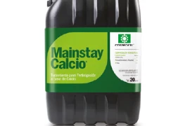 Mainstay Ca 5L