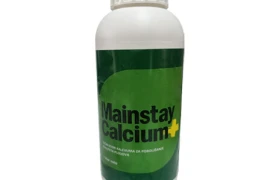 Mainstay Ca 1L