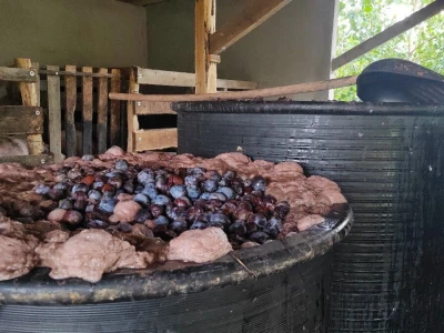Meka rakija