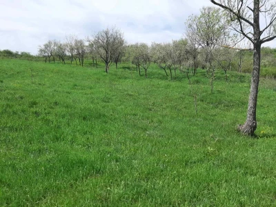 Na prodaju poljoprivredno zemljište-plac