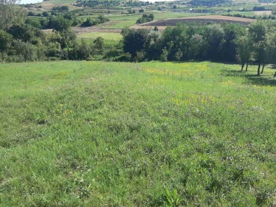 Na prodaju poljoprivredno zemljište-plac