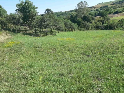 Na prodaju poljoprivredno zemljište-plac