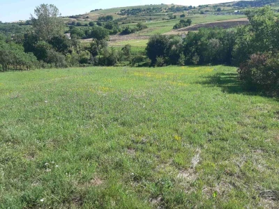Na prodaju poljoprivredno zemljište-plac