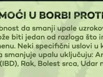 NHG Refine kapi sa ekstraktom Ginko bilobe i Panax Ginksenga