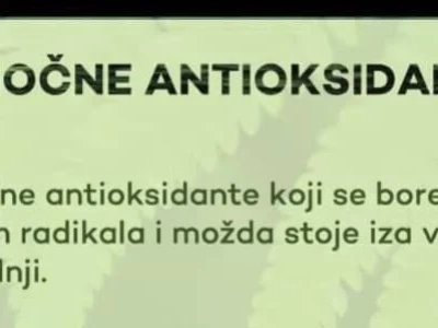 NHG Refine kapi sa ekstraktom Ginko bilobe i Panax Ginksenga