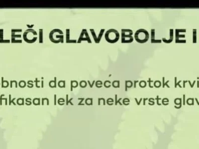 NHG Refine kapi sa ekstraktom Ginko bilobe i Panax Ginksenga