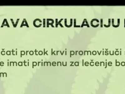 NHG Refine kapi sa ekstraktom Ginko bilobe i Panax Ginksenga
