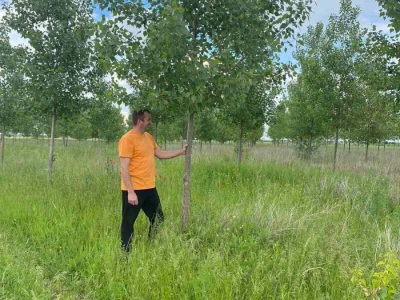 Odlična investicija, šumsko zemljište sa posađenom topolom