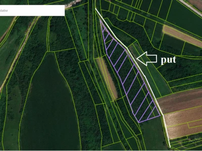 Plac, Beočin, Susek  13000m2