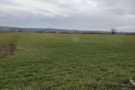 Poljoprivredno zemljište – Velika Plana (3.4 ha)